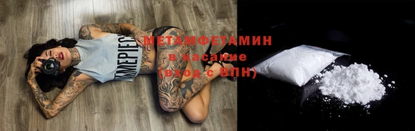 гидра Богородицк