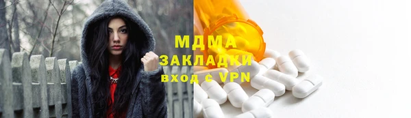 гидра Богородицк