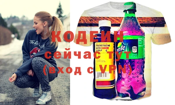 гидра Богородицк