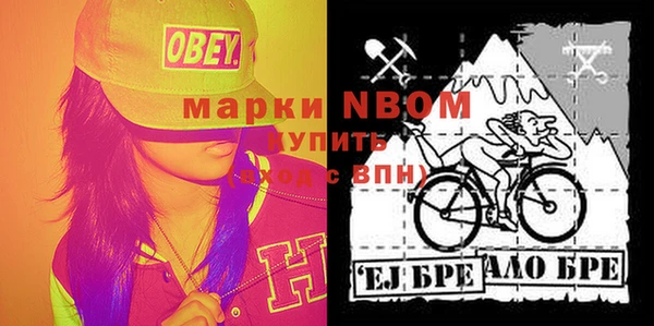 гидра Богородицк