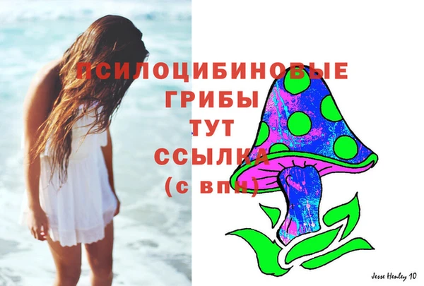 гидра Богородицк