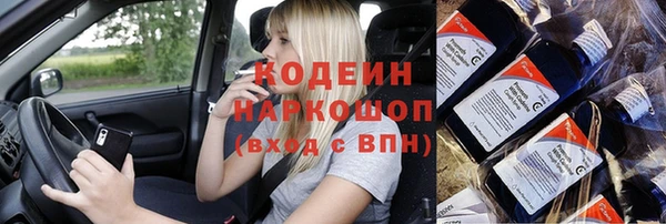 гидра Богородицк