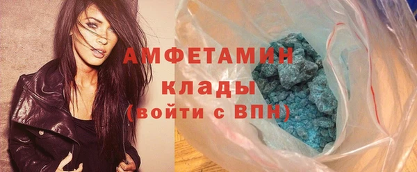 гидра Богородицк