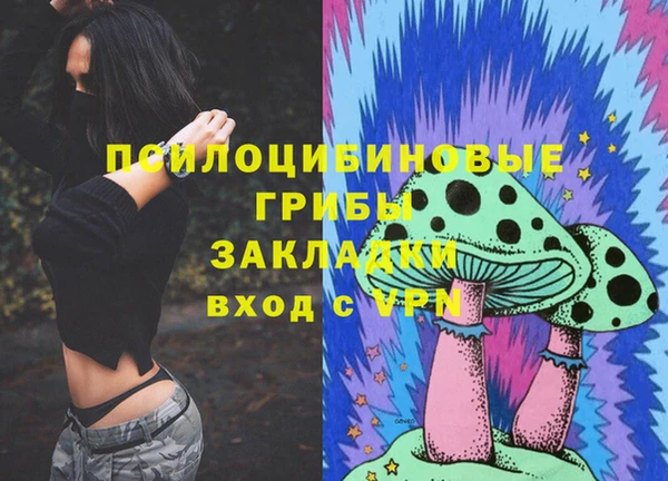 гидра Богородицк